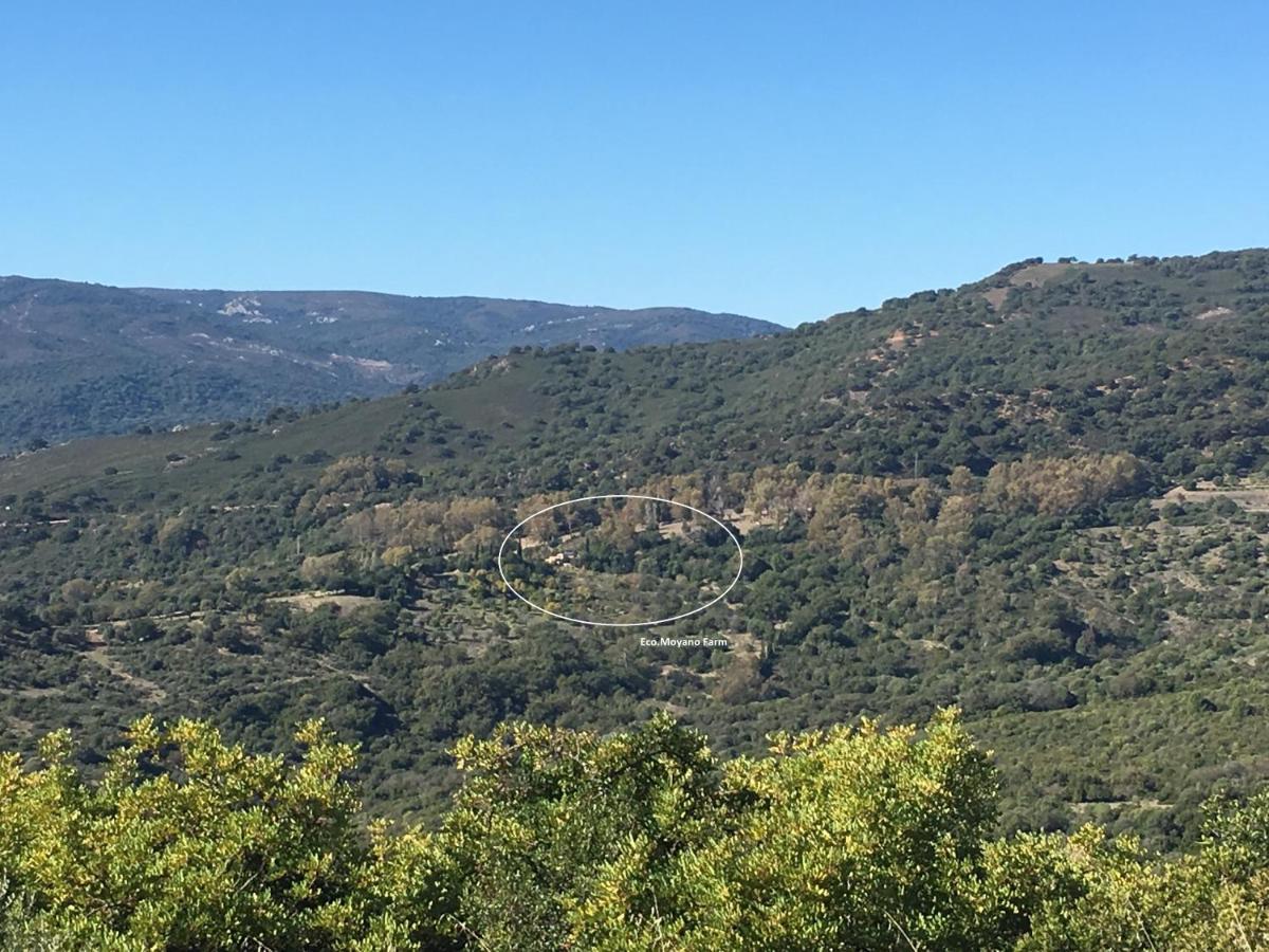 Eco Moyano Posada Gaucín エクステリア 写真