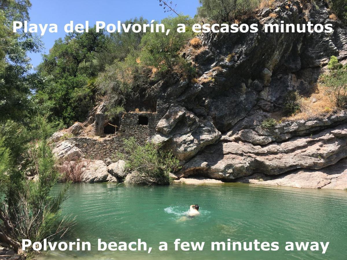 Eco Moyano Posada Gaucín エクステリア 写真