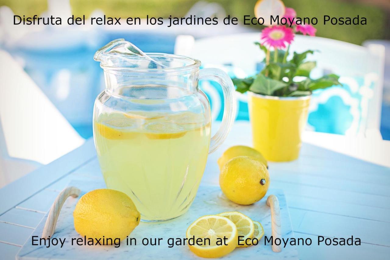 Eco Moyano Posada Gaucín エクステリア 写真