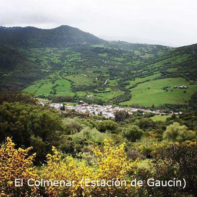 Eco Moyano Posada Gaucín エクステリア 写真