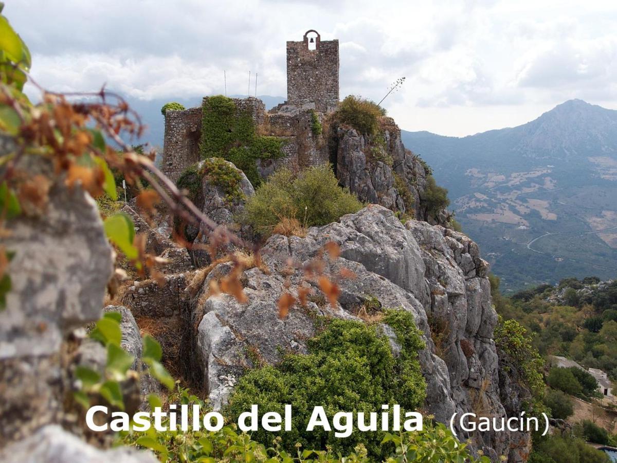 Eco Moyano Posada Gaucín エクステリア 写真