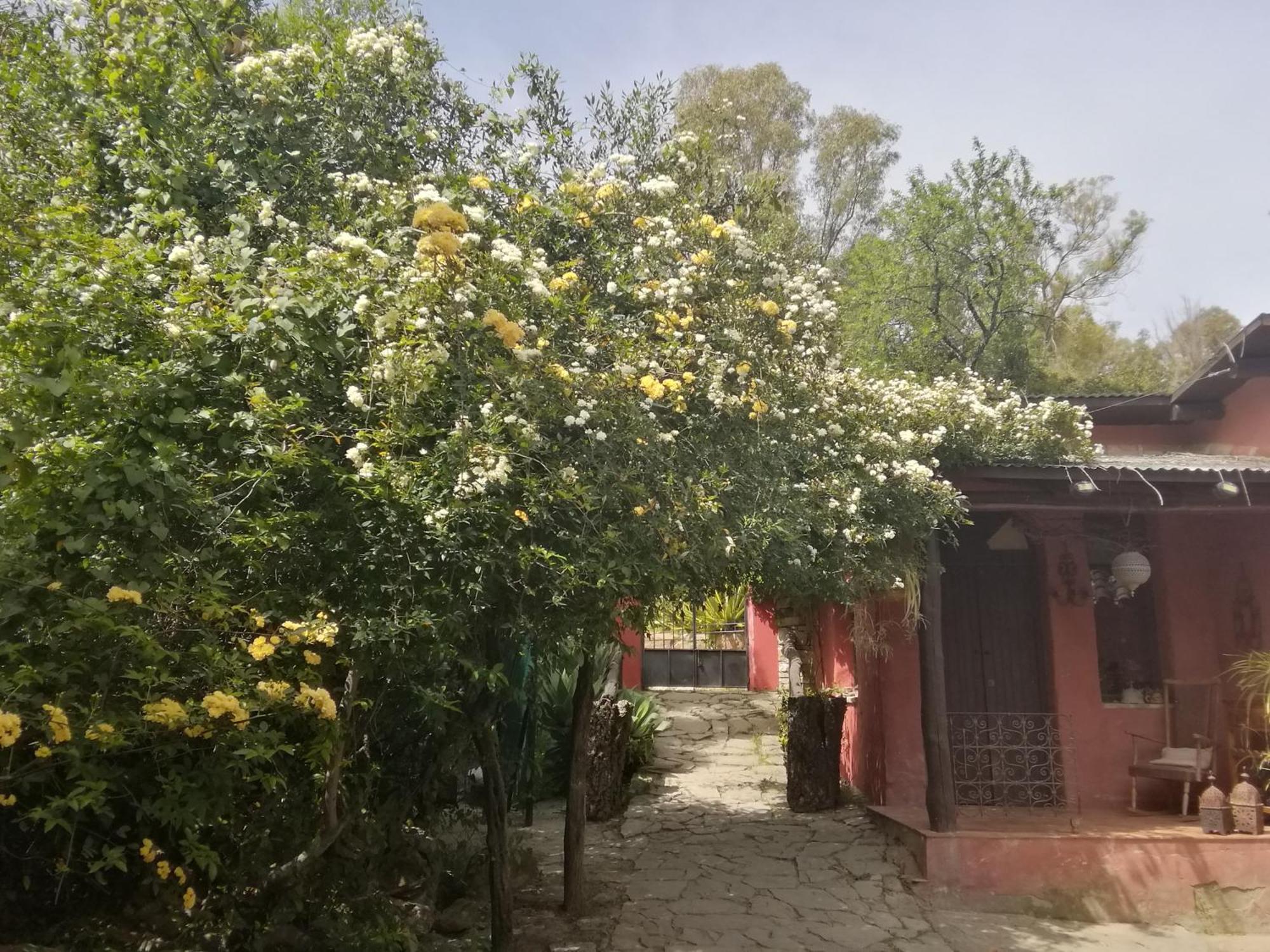 Eco Moyano Posada Gaucín エクステリア 写真