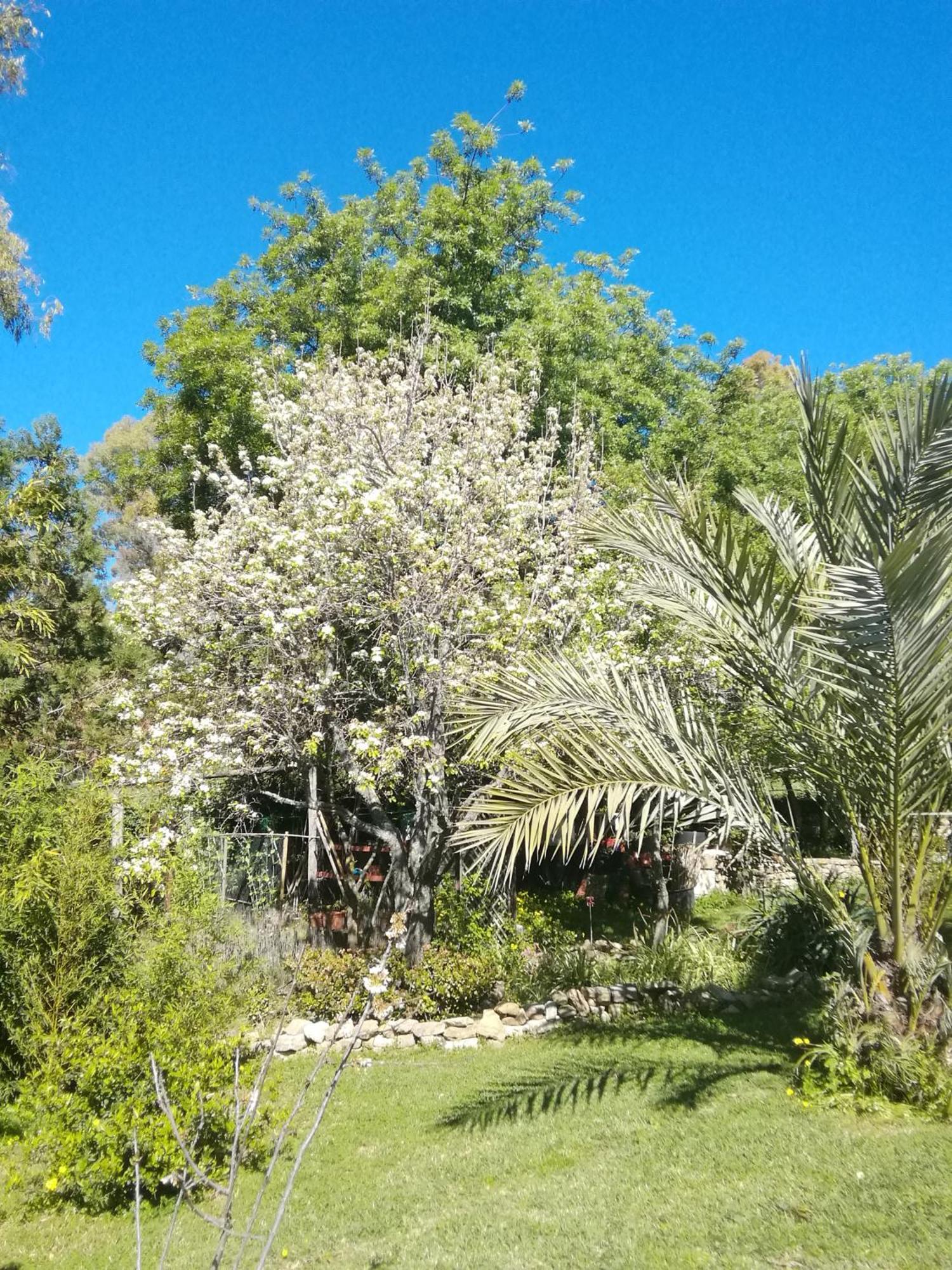 Eco Moyano Posada Gaucín エクステリア 写真