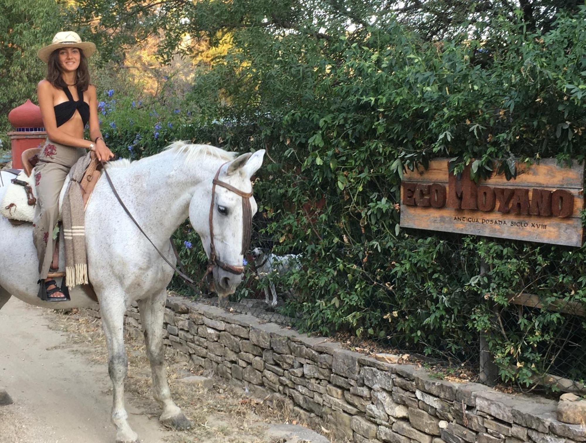 Eco Moyano Posada Gaucín エクステリア 写真